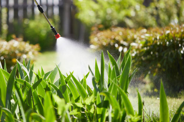 24/7 Emergency Mosquito Control experts in Carlyss, LA