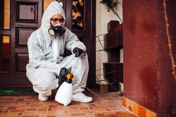 Reliable Mosquito Control contractor in Carlyss, LA by Show Me Pest Control